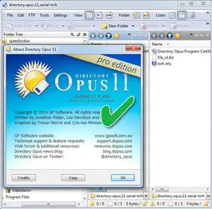 Directory Opus Pro 11.4 Build 5229 Final (x86/x64)