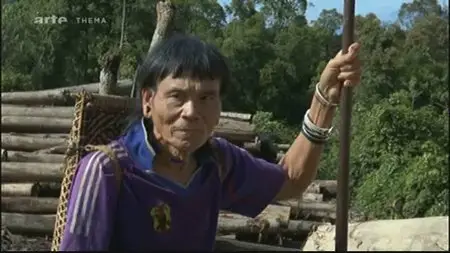 (Arte Thema) Peur sur la forêt : Les forêts meurent encore + Le testament de Tébaran (2011)