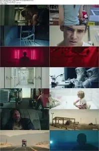 The Signal (2014)