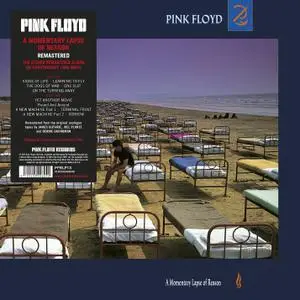 Pink Floyd - A Momentary Lapse Of Reason (1987/2017) [LP, Remastered, 180 Gram, DSD128]