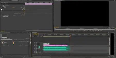 Adobe Premiere Pro CC (2014-18): da principiante a esperto