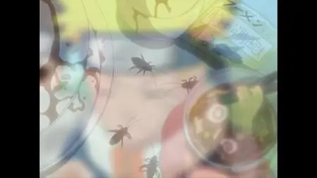 Naruto S04E18 What's The Difference Don't All Insects Look Alike EAC3 2 0