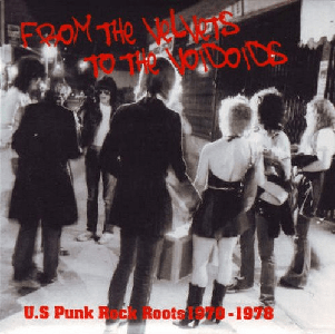 VA - From The Velvets To The Voidoids: US Punk Rock Roots 1970-1978 (2007)