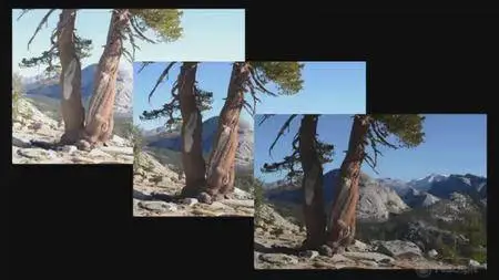 The Photographer's Guide to HDR Efex Pro: Learn by Video [repost]