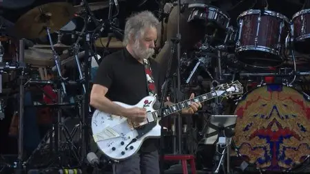 Grateful Dead: Fare Thee Well - Weekend One (2015) [HDTV, 720p]