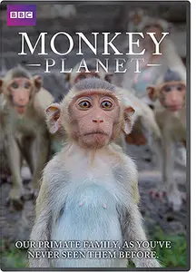 BBC - Monkey Planet: Episode 3 of 3 - Master Minds (2014)