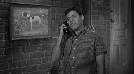 The Delicate Delinquent (1957)