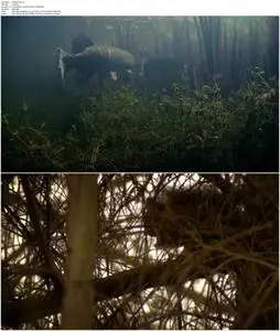 Ireland's Wild River (2014)