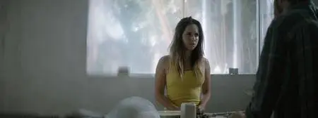 Shortwave (2016)