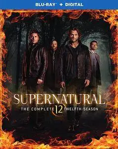 Supernatural S12 (2017)  [Complete Season]