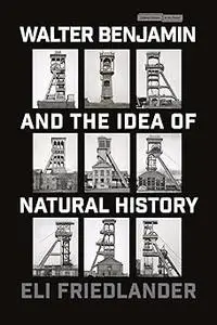 Walter Benjamin and the Idea of Natural History