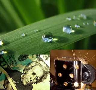 Amazing macro-photos (part-2)