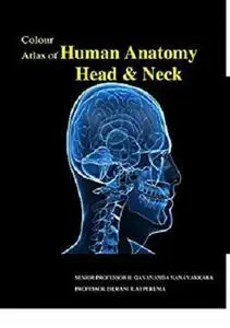Colour Atlas of Human Anatomy - Head and Neck