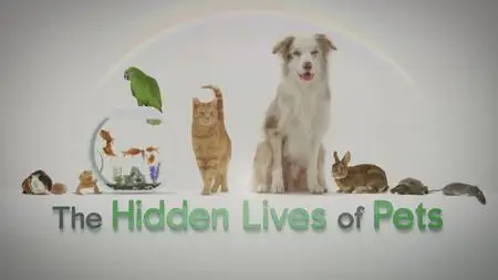 The Hidden Lives of Pets S01E02