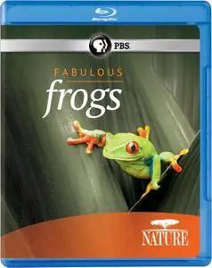 PBS - Nature: Fabulous Frogs (2014)