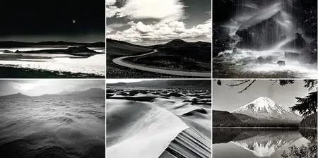 Nature Scenes - Black and White