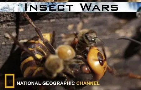 National Geographic - Insect Wars (2006)