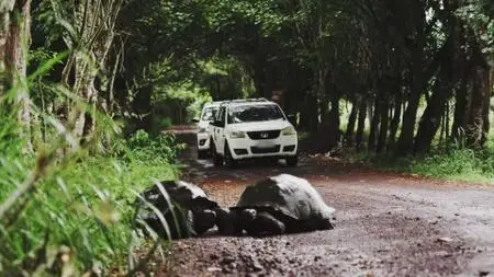 Extinct or Alive S02E01