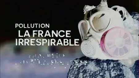 (Fr5) Pollution, la France irrespirable (2016)