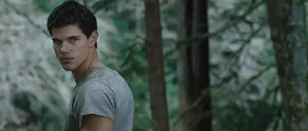 The Twilight Saga: Breaking Dawn - Part 1 (Release November 18, 2011) Teaser
