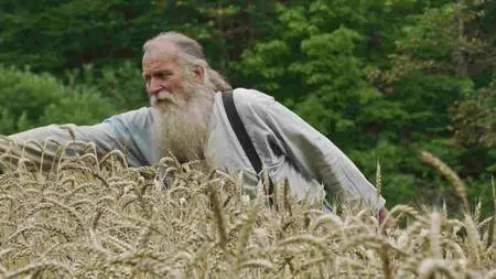 Seed: The Untold Story (2016)