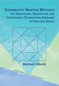 Semismooth Newton Methods for Variational Inequalities and Constrained Optimization Problems in Function Spaces