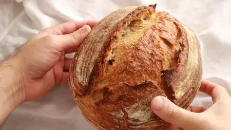 Sourdough Bread Baking 101- From Starter To Your First Loaf