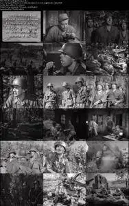 The Glory Brigade (1953)