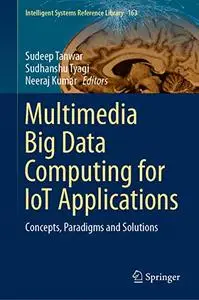 Multimedia Big Data Computing for IoT Applications: Concepts, Paradigms and Solutions