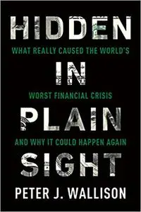 Hidden in Plain Sight: What Really Caused the World's Worst Financial Crisis and Why It Could Happen Again