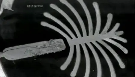 BBC - The Satellite Story (2007)