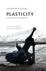 Plasticity: The Promise of Explosion