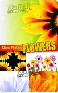 Flowers - UHQ Stock Photo