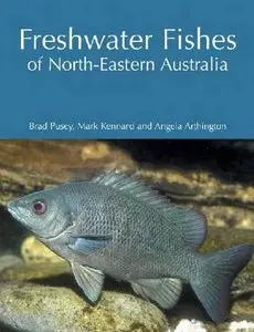 Freshwater Fishes of North-Eastern Australia
