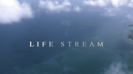 Atlantic - The Wildest Ocean on Earth: S01E01 - Life Stream (2015)