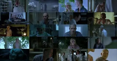 The Green Butchers (2003)