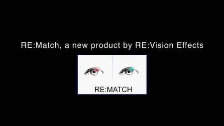 RevisionFX REMatch for Vegas 1.3.7 (Win/Mac)