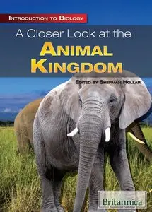 A Closer Look at the Animal Kingdom (Introduction to Biology) (repost)