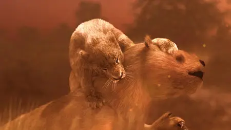 National Geographic - Explorer: Clash of the Americas (2011)