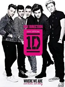 One Direction: Where We Are: Our Band, Our Story: 100% Official (Repost)