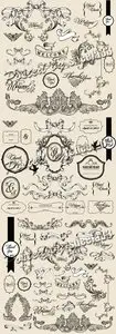 Vintage Cards Elements Vector