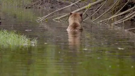 Smithsonian Earth - Wild Rockies: Series 1 (2017)