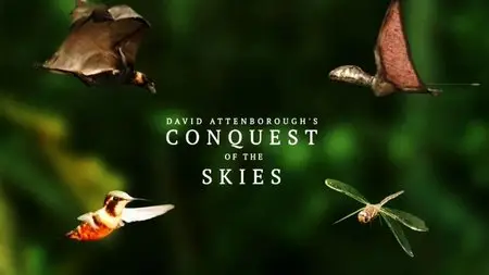 BSkyB - David Attenborough's Conquest of the Skies (2015)