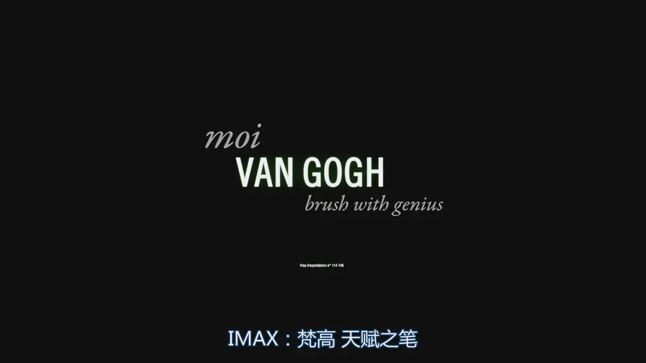 IMAX Van Gogh Brush with Genius (2009) / AvaxHome