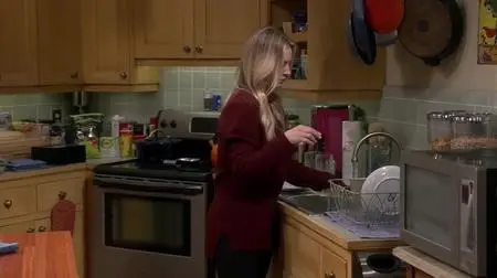 The Big Bang Theory S02E13
