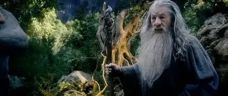 The Hobbit: An Unexpected Journey / Le Hobbit: Un voyage inattendu (2012)