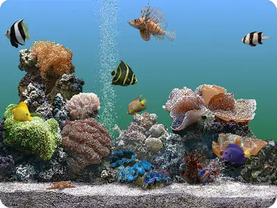 Marine Aquarium 3.1