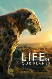 Life on Our Planet S01E05