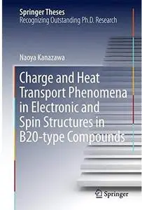 Charge and Heat Transport Phenomena in Electronic and Spin Structures in B20-type Compounds [Repost]