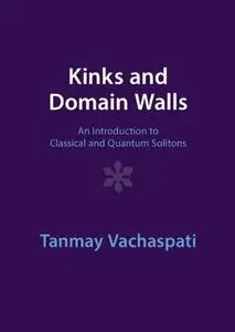 Kinks and Domain Walls: An Introduction to Classical and Quantum Solitons
